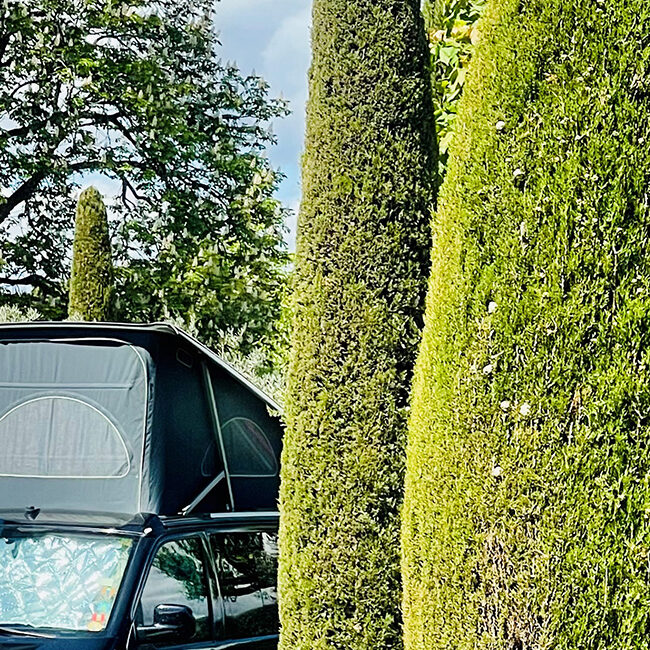 Cyprès et van au Monplaisir