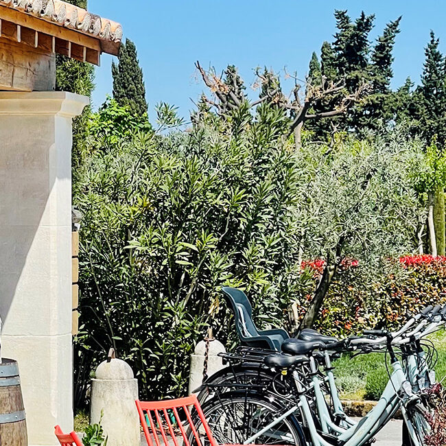 Vélos à louer du Monplaisir