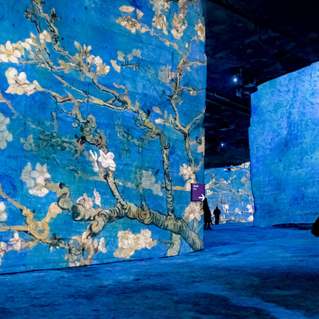 Les Carrières de lumière